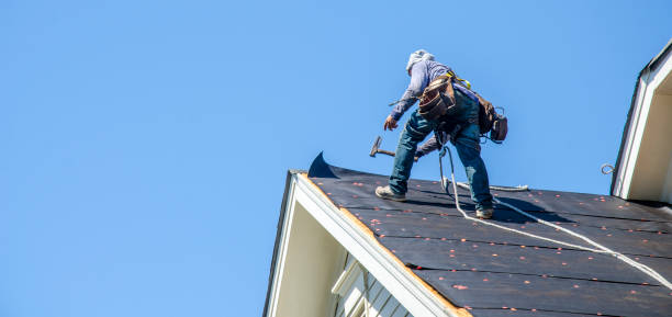 Best Gutter Installation and Roofing  in Oak Harbor, WA